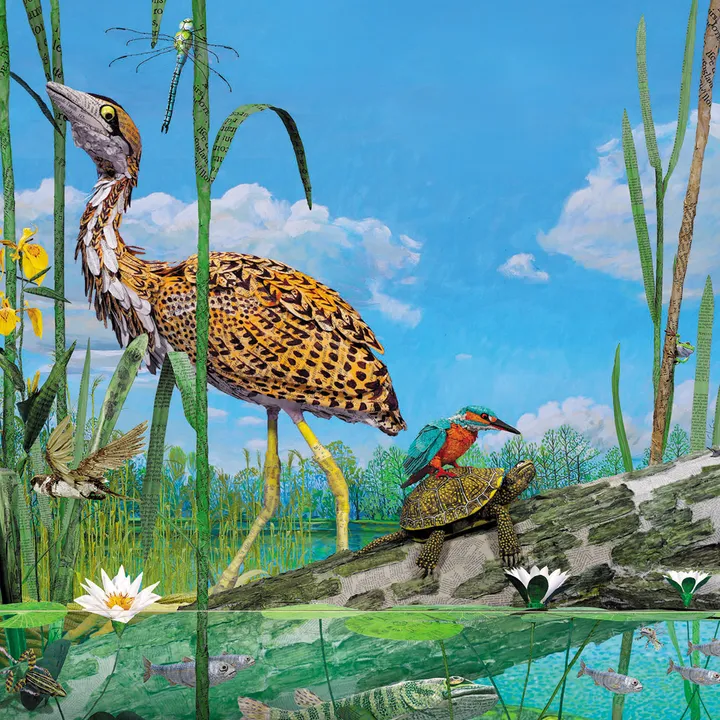 IllustrationBonjour le monde !