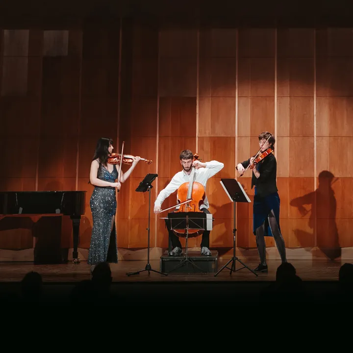 Illustration de l'evenement: Ensemble satellite